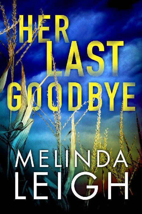 Cover of Her Last Goodbye (Morgan Dane Book 2)