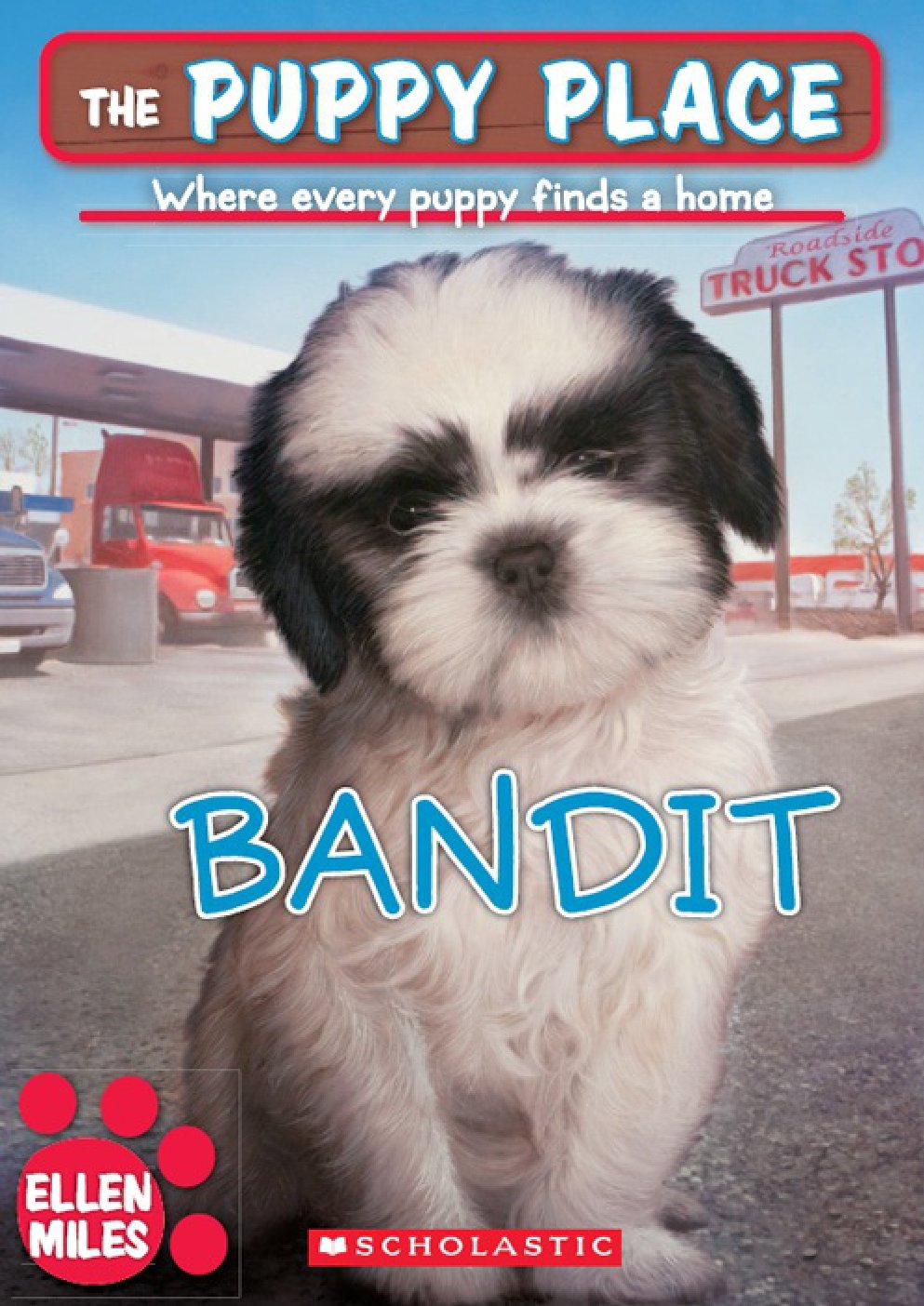 Cover of Bandit (2011)