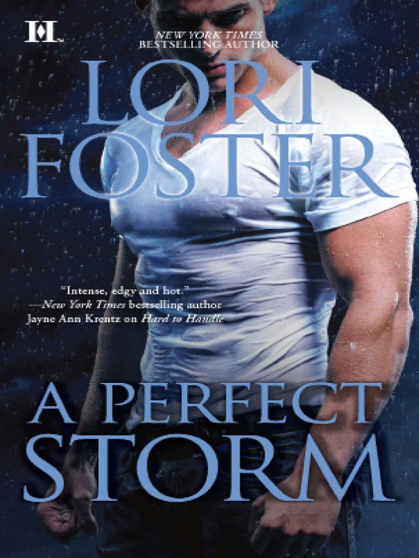 Cover of A Perfect Storm