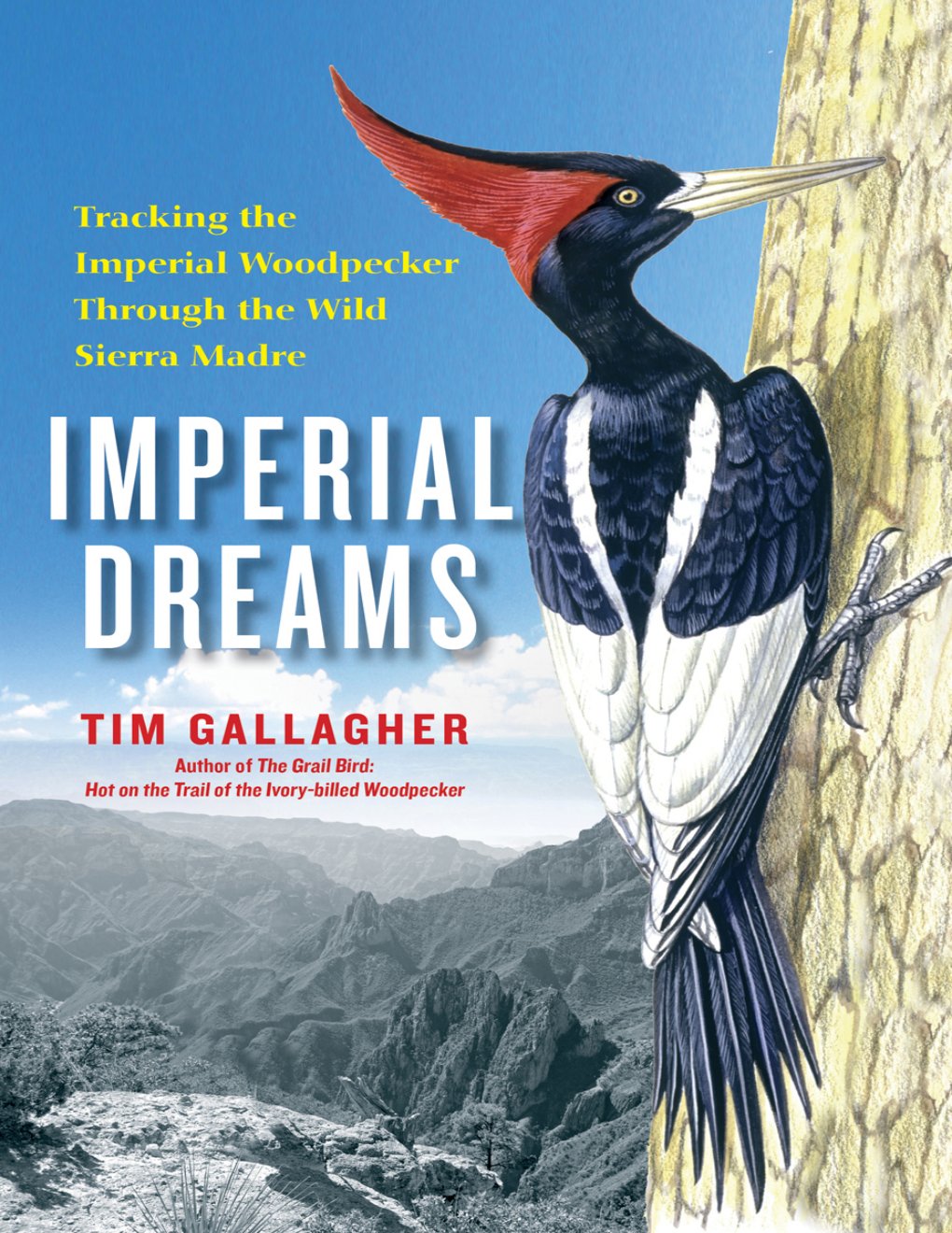 Cover of Imperial Dreams