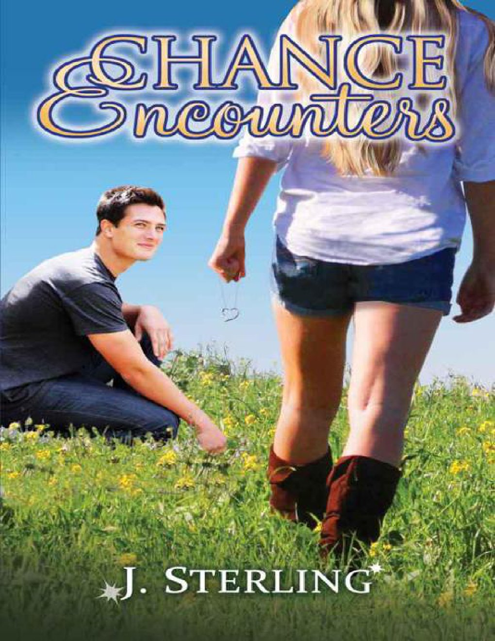 Cover of Chance Encounters