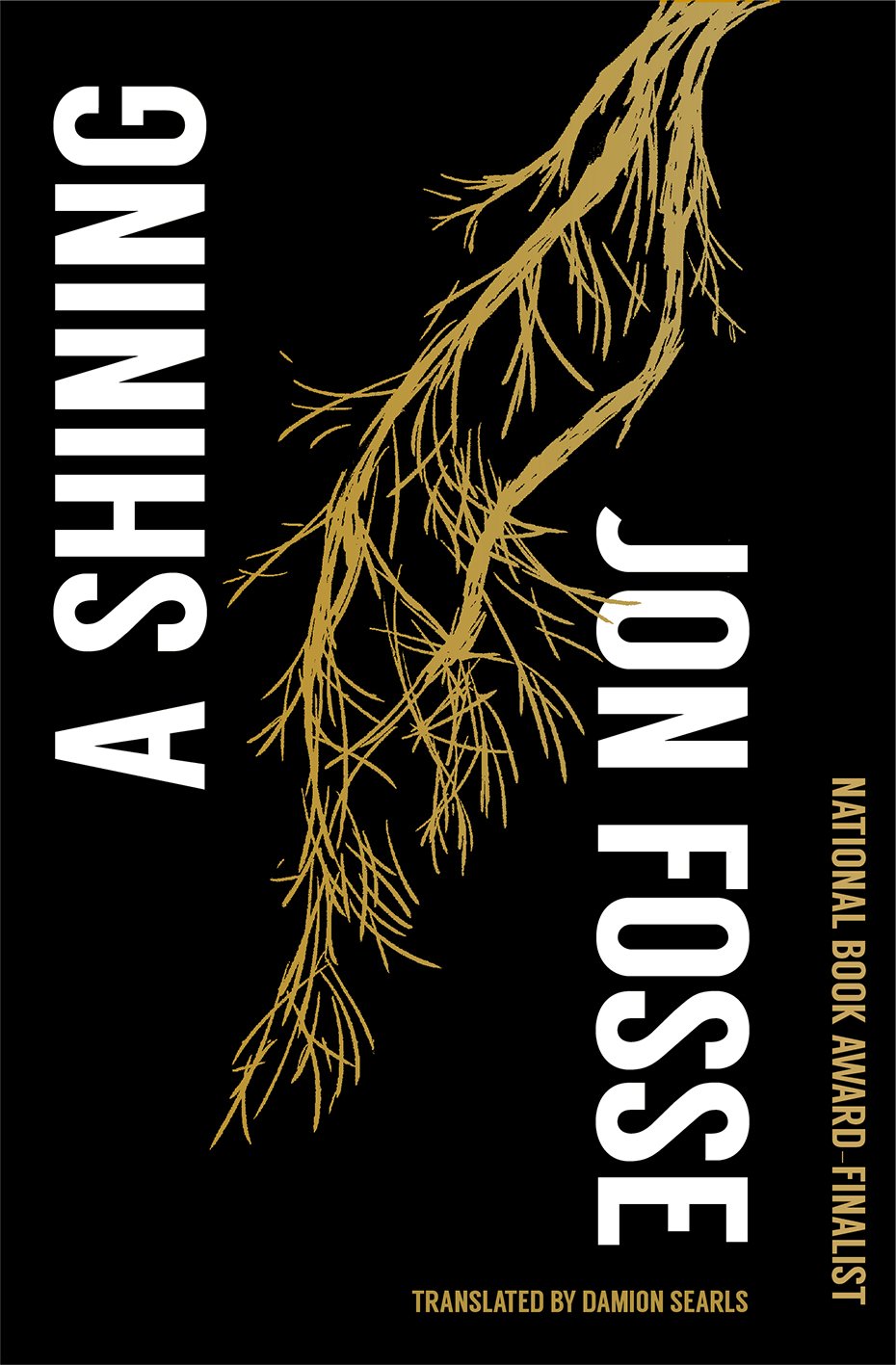 Cover of A Shining
