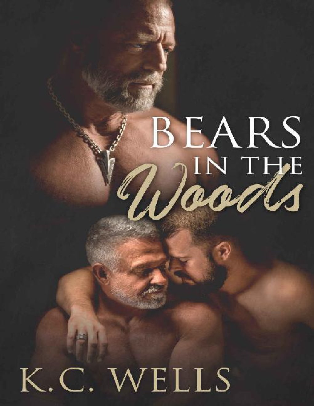Cover of Bears in the Woods