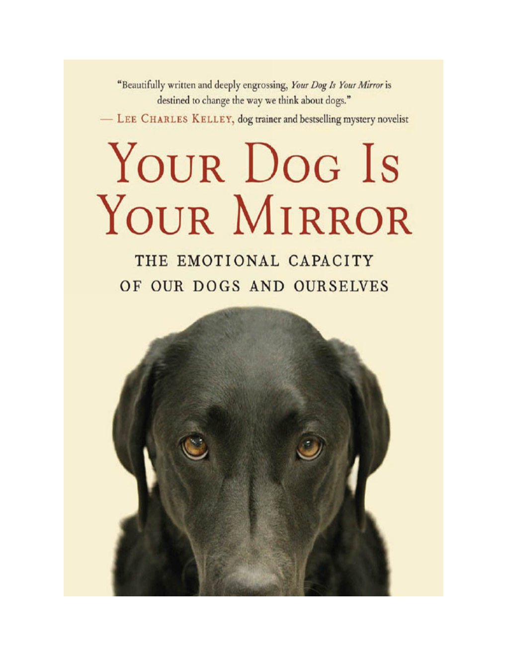 Cover of Your Dog Is Your Mirror