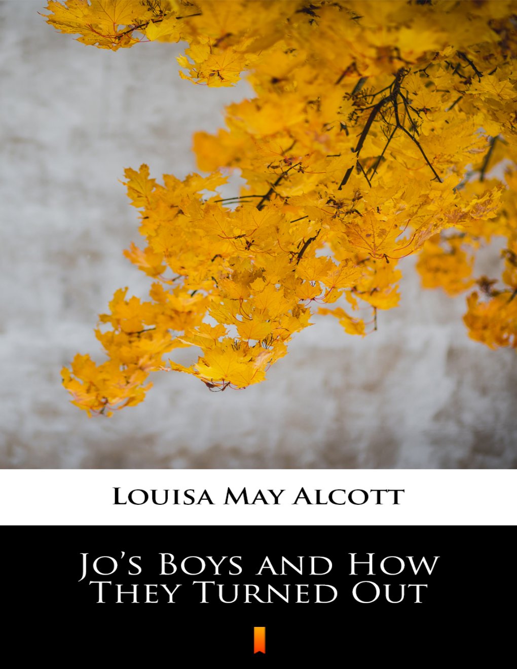 Cover of Jo's Boys and How They Turned Out