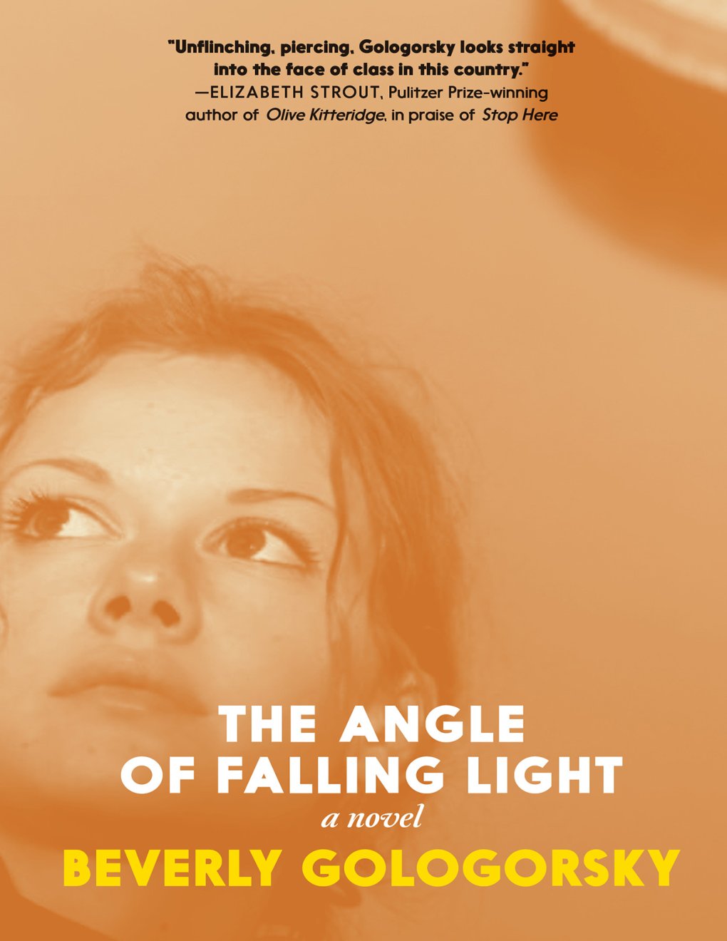 Cover of The Angle of Falling Light