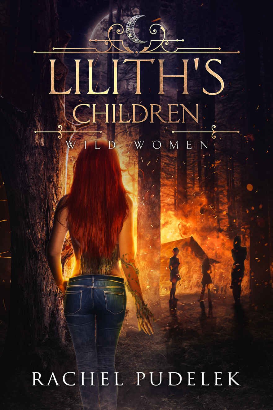 Cover of Lilith's Children (1976)