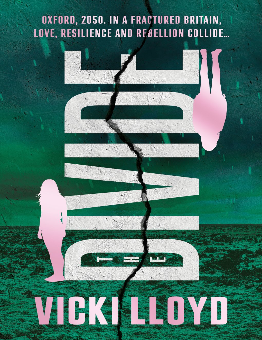Cover of The Divide