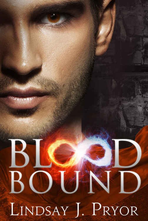 Cover of Blood Bound