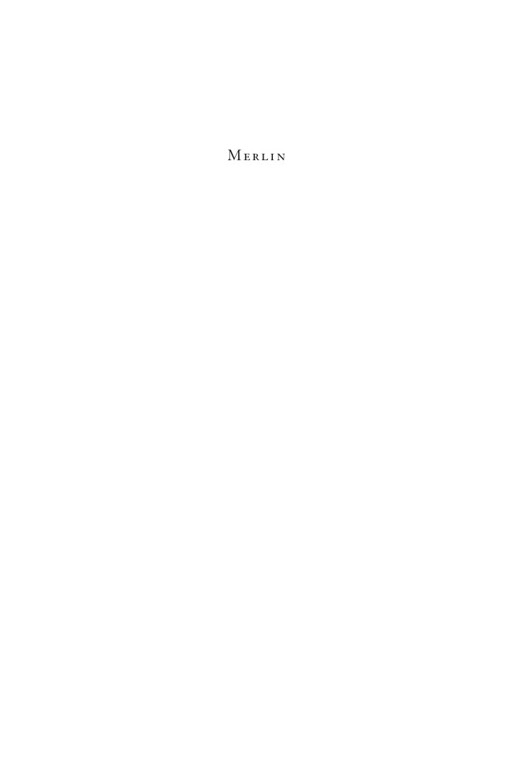 Cover of Merlin