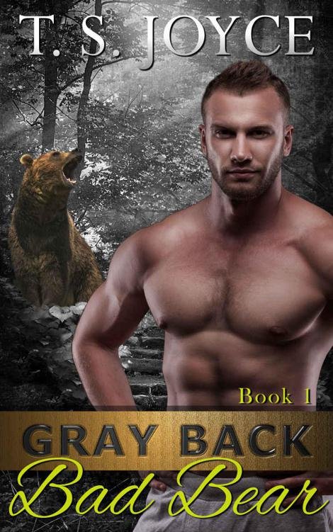 Cover of Gray Back Bad Bear (Gray Back Bears Book 1)