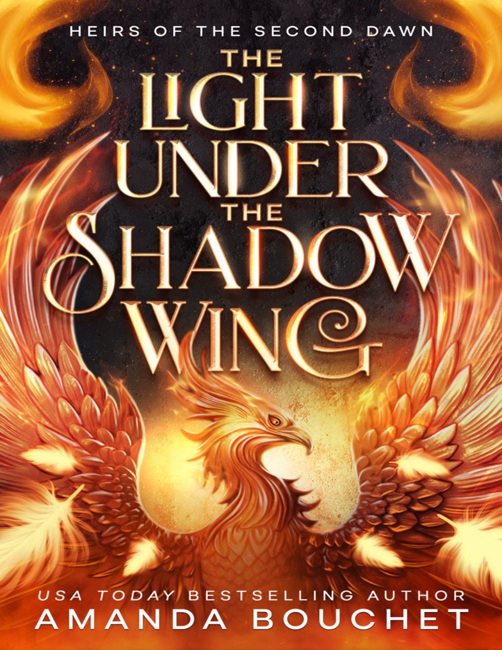 Cover of The Light Under the Shadow Wing