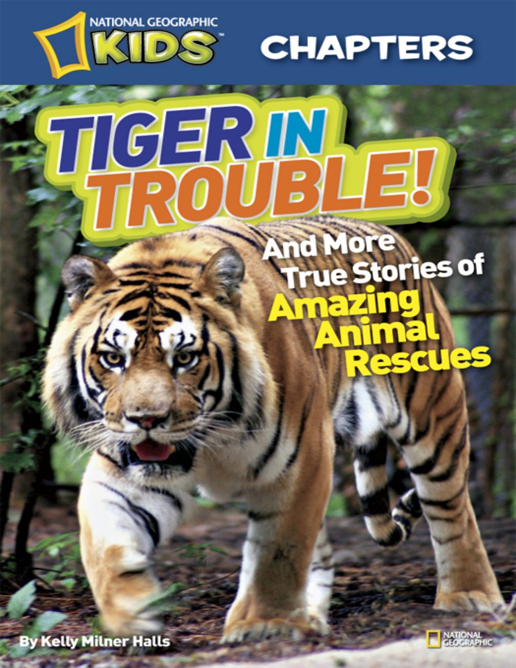 Cover of Tiger in Trouble!