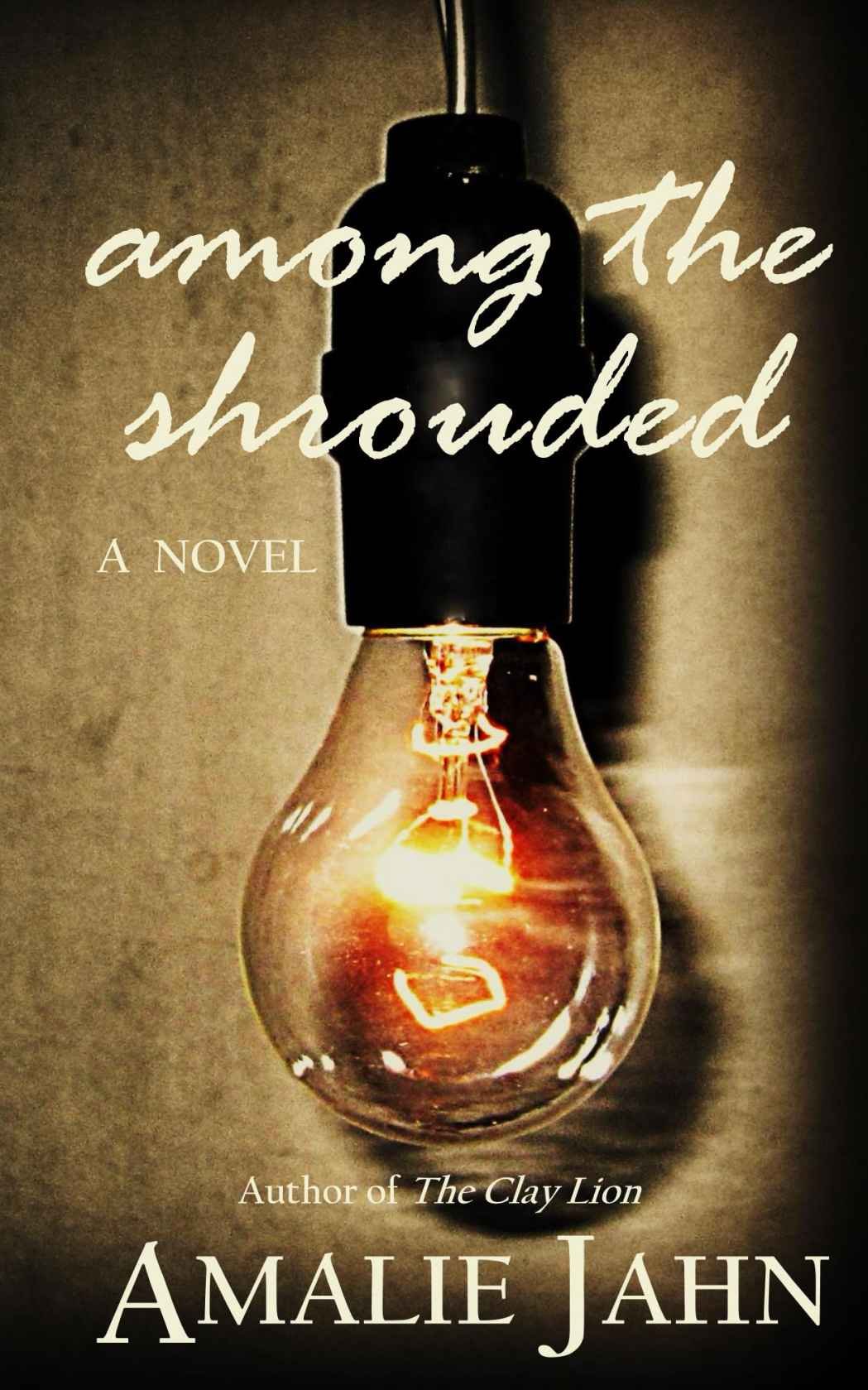 Cover of Among the Shrouded (2013)