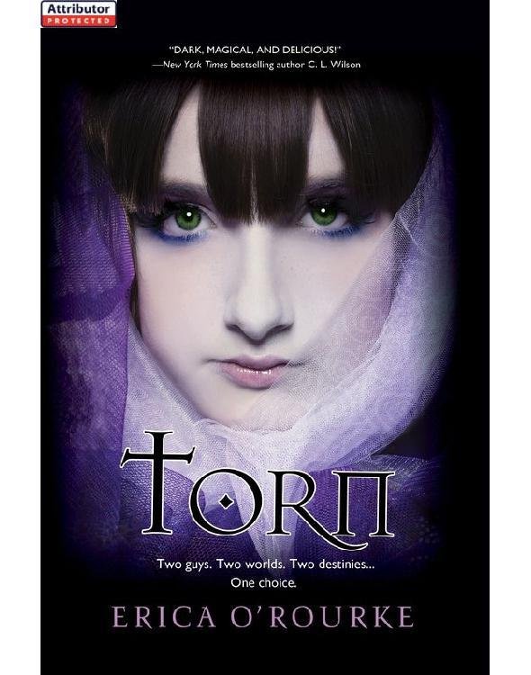 Cover of Torn