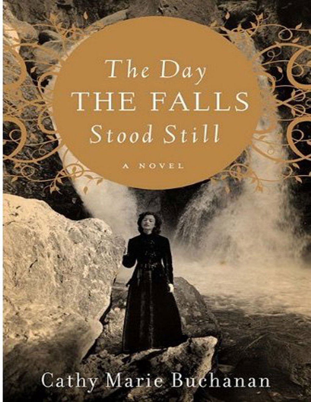 Cover of The Day the Falls Stood Still