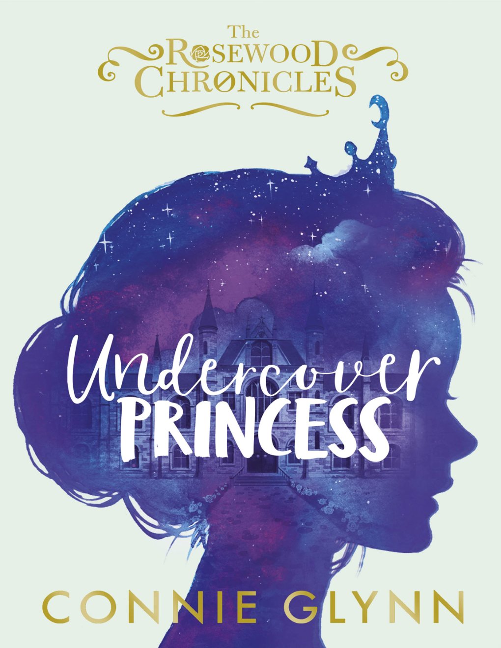 Cover of Undercover Princess