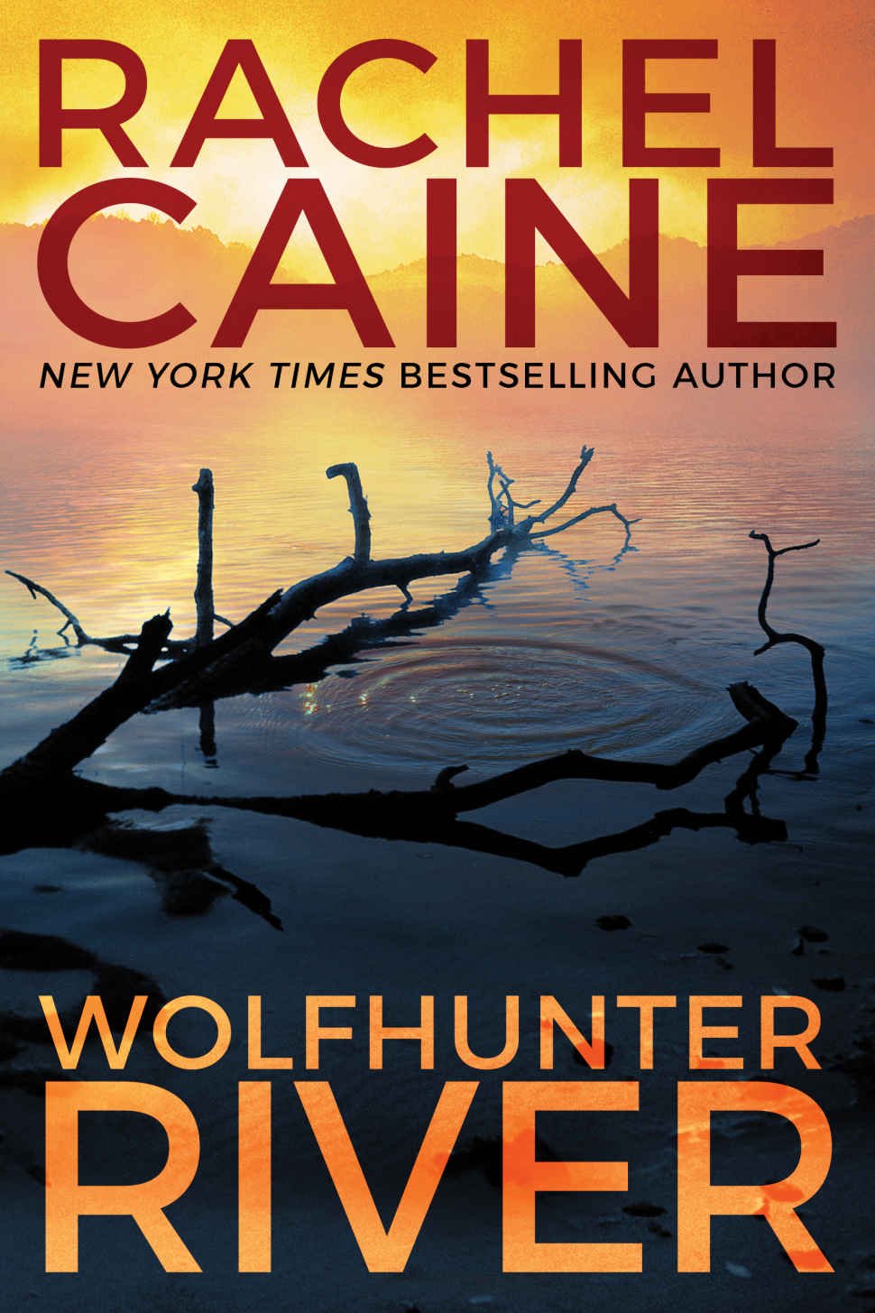 Cover of Wolfhunter River (2019)