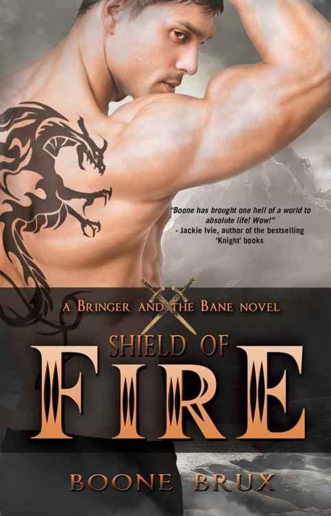 Cover of Shield of Fire (2011)