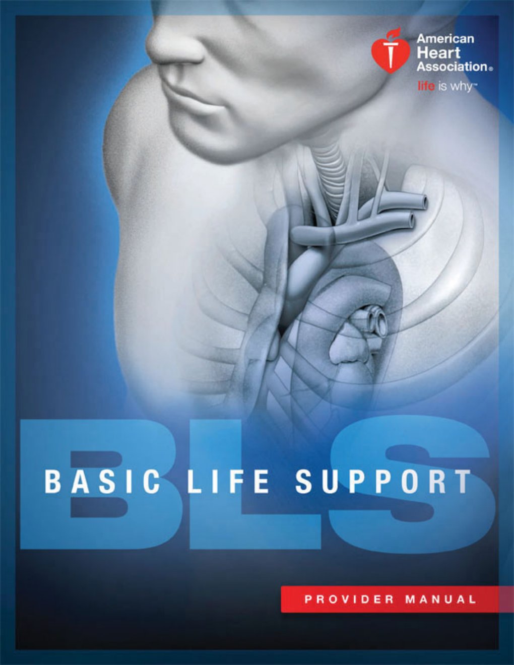 Cover of BLS Provider Manual