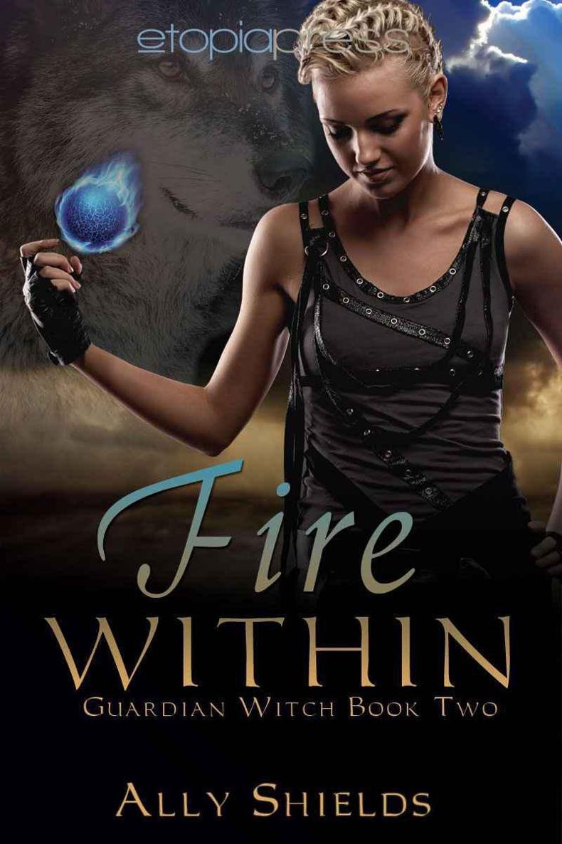 Cover of Fire Within (2013)