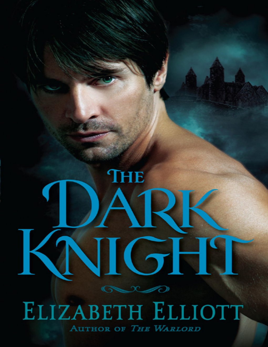 Cover of The Dark Knight