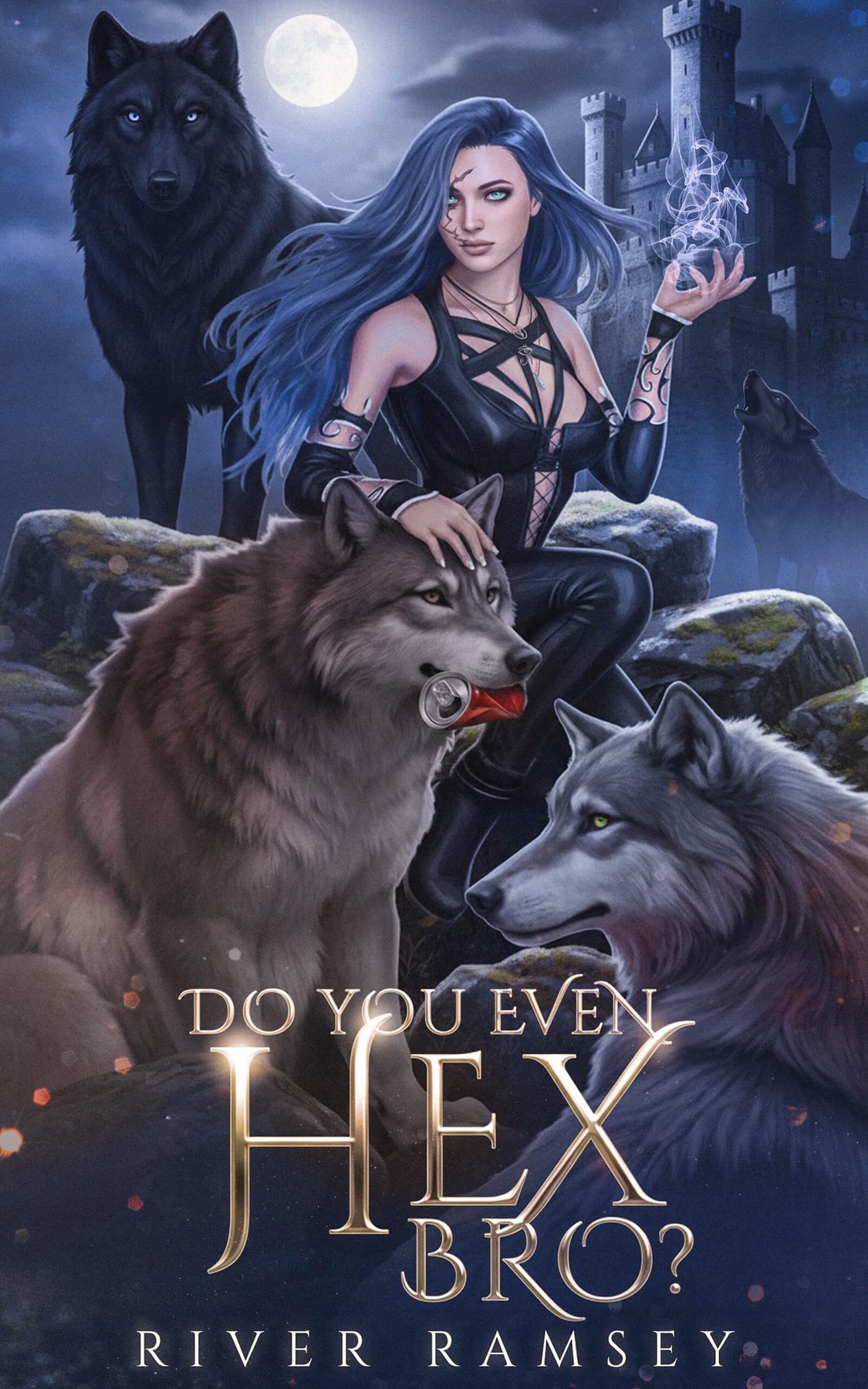 Cover of Do You Even Hex, Bro (2025)