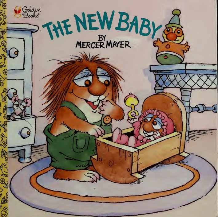 Cover of The new baby