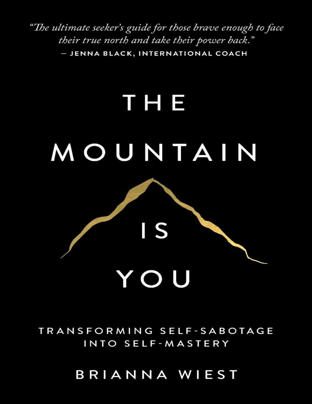 Cover of The Mountain is You