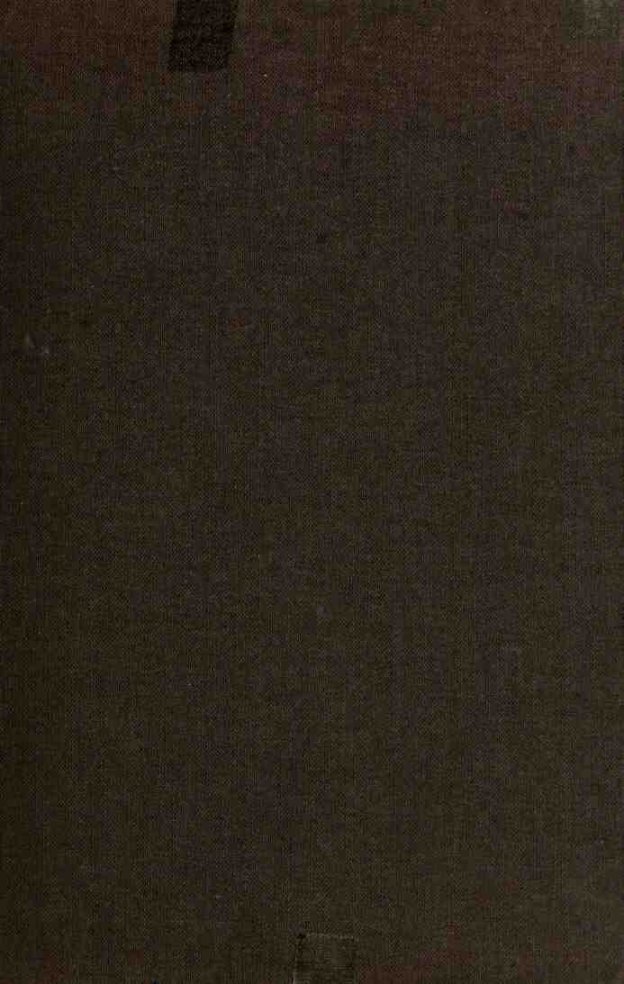 Cover of The night swimmers