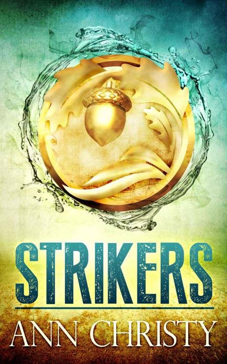 Cover of Strikers (2014)