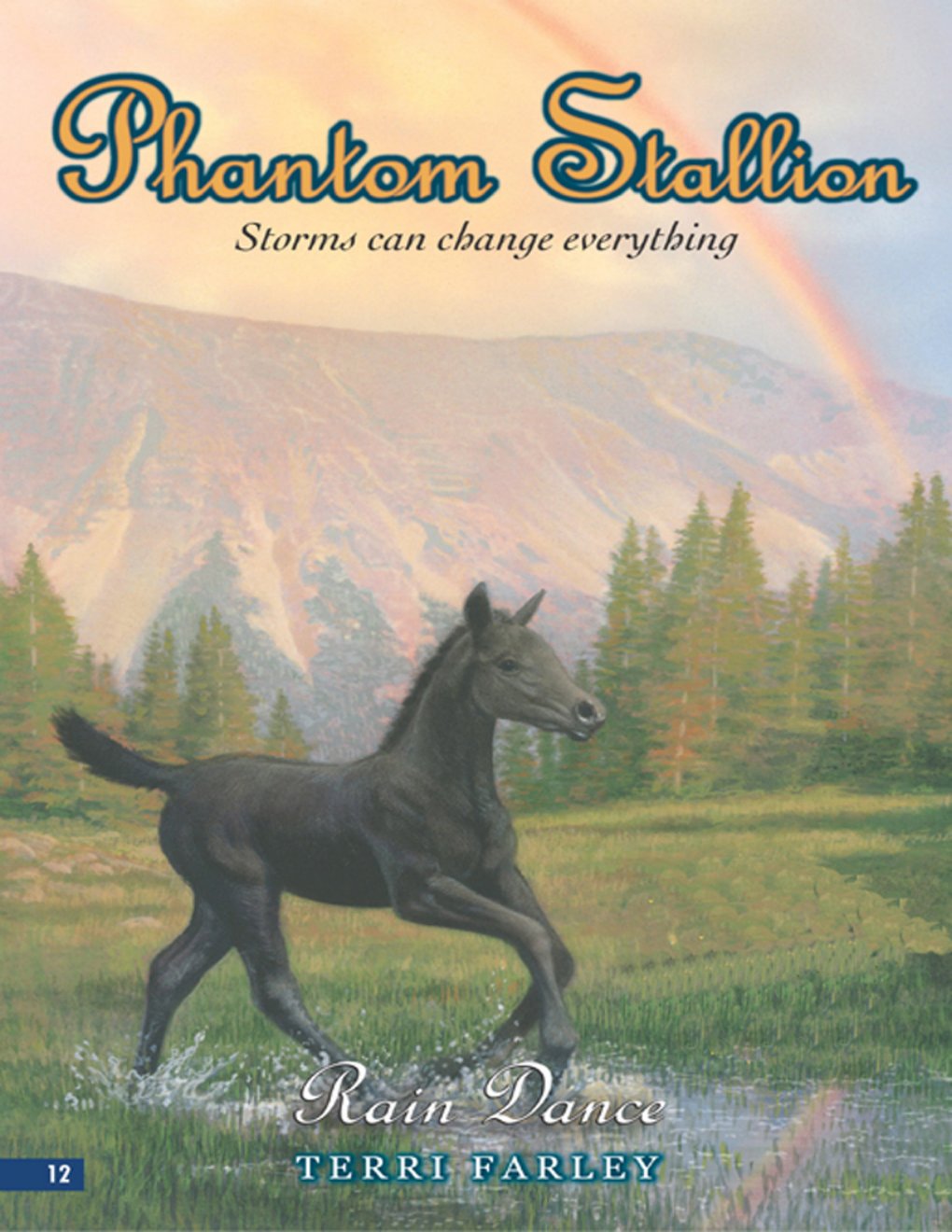 Cover of Rain Dance (2004)