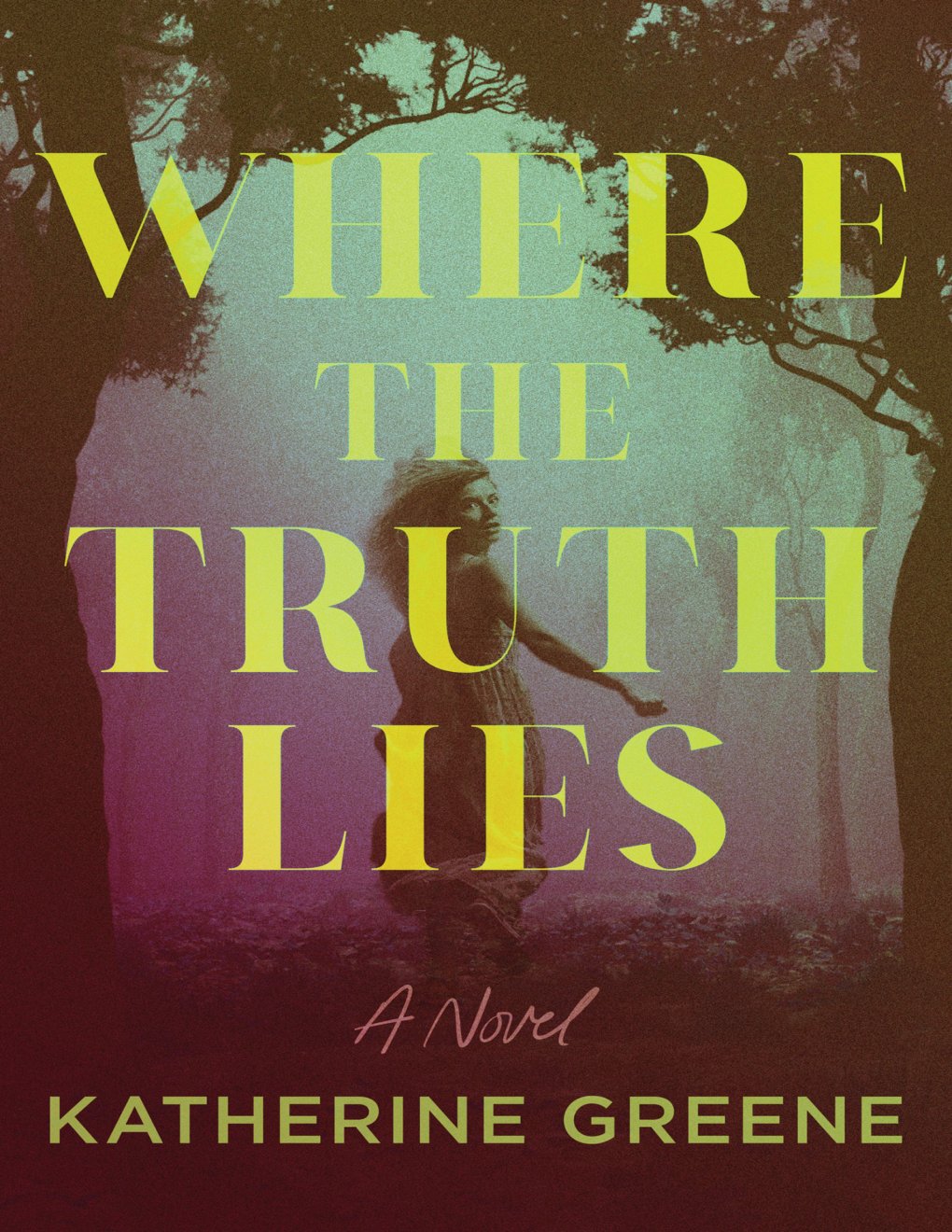 Cover of Where the Truth Lies: A Novel