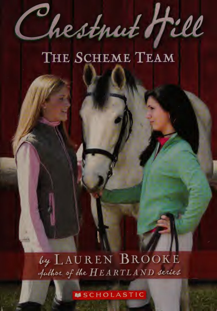 Cover of The scheme team