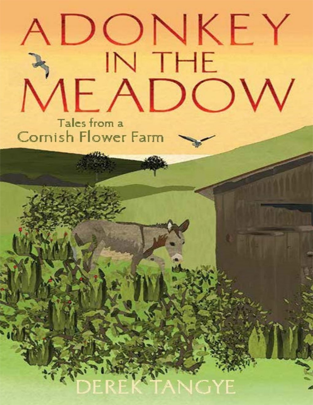 Cover of A Donkey in the Meadow