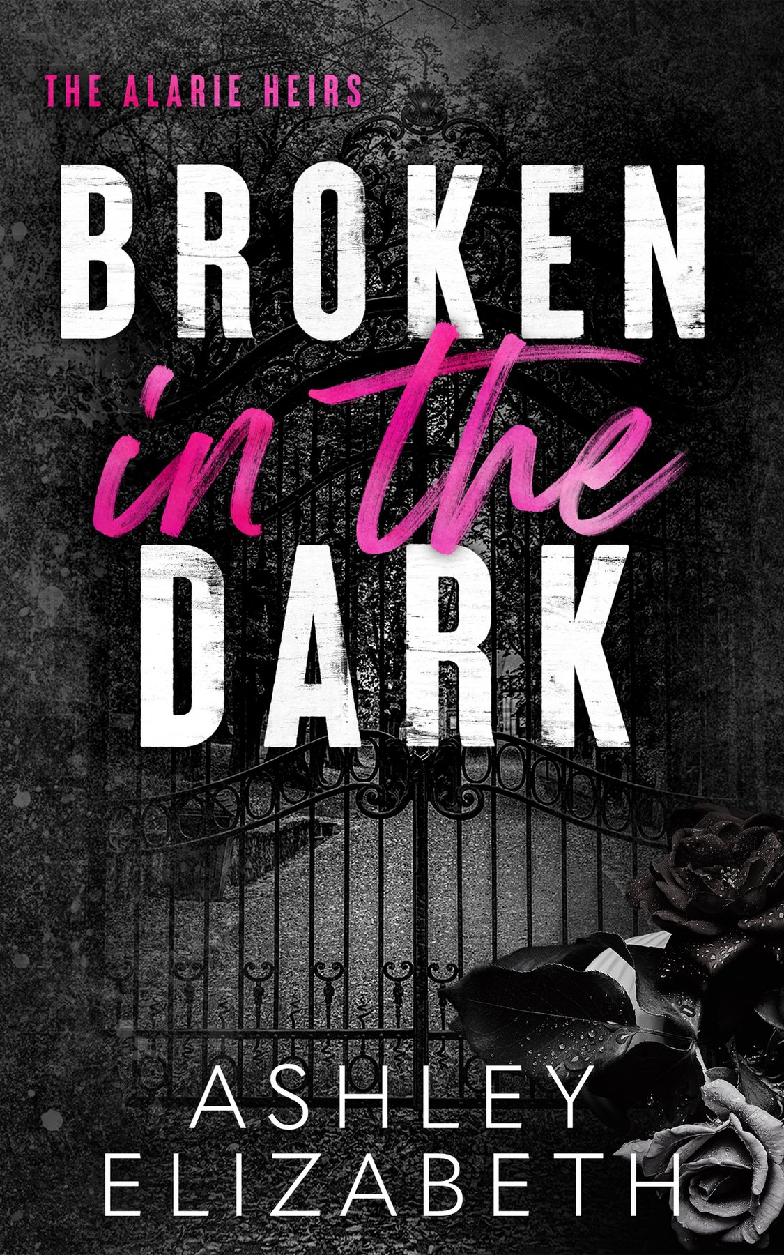 Cover of Broken in the Dark