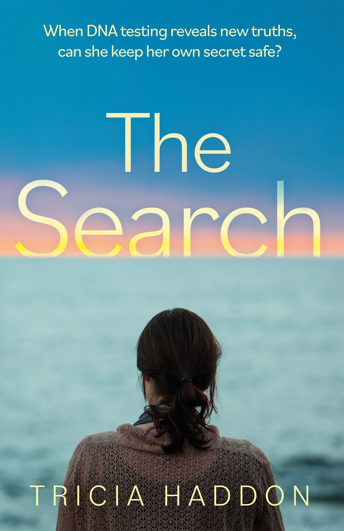 Cover of The Search