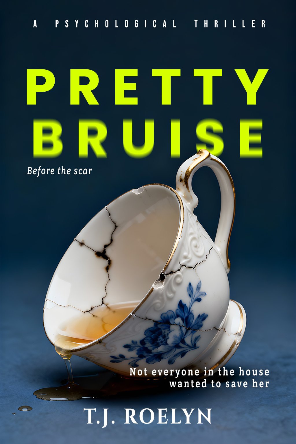 Cover of Pretty Bruise (Pretty Series Book 1)