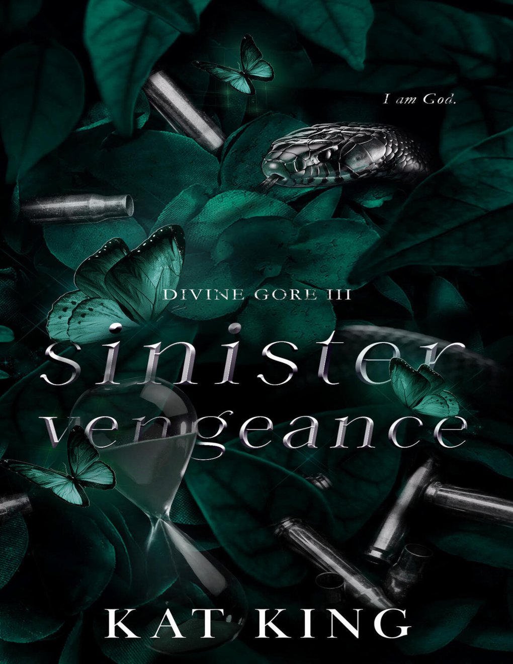 Cover of Sinister Vengeance