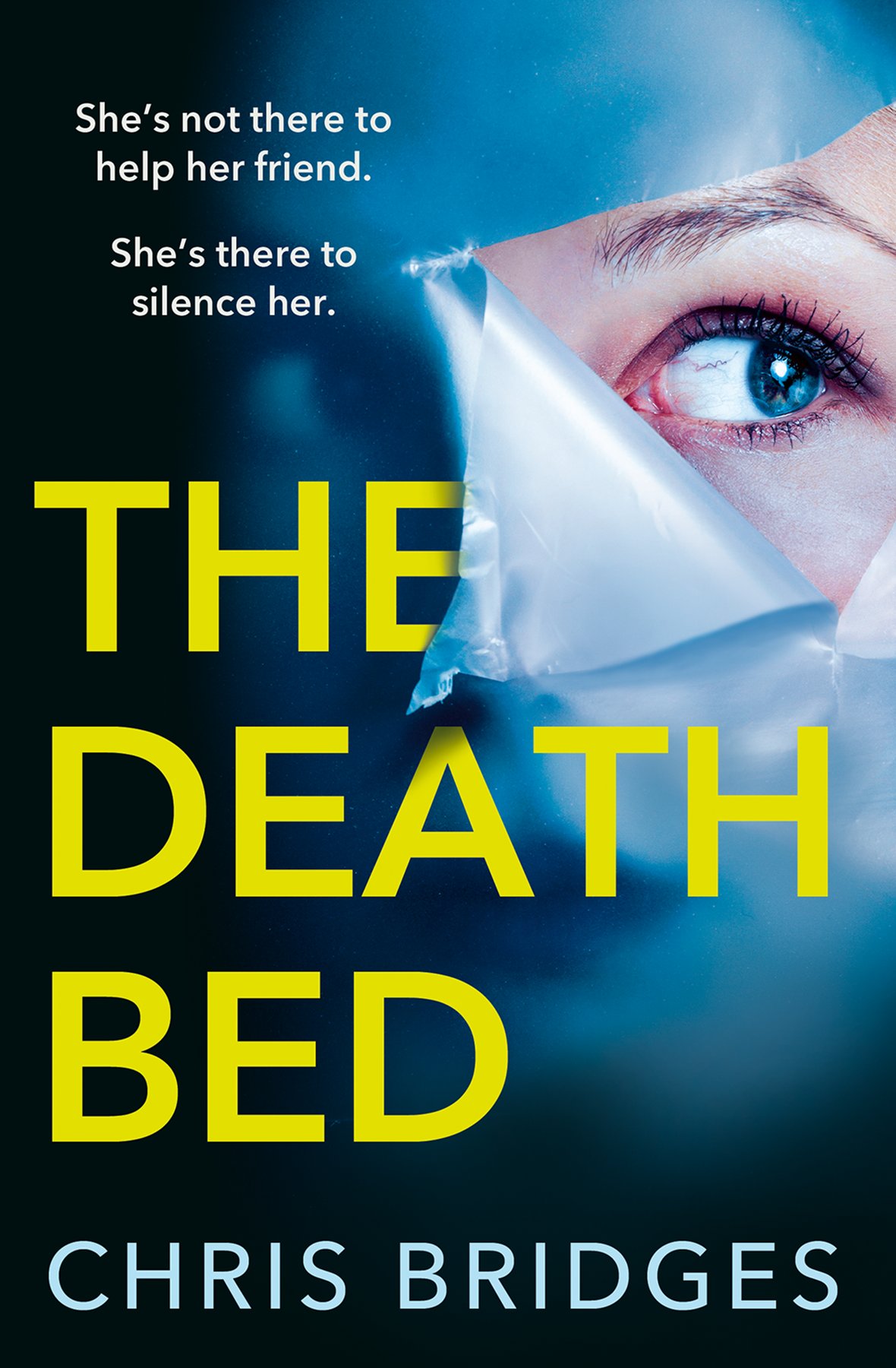 Cover of The Death Bed