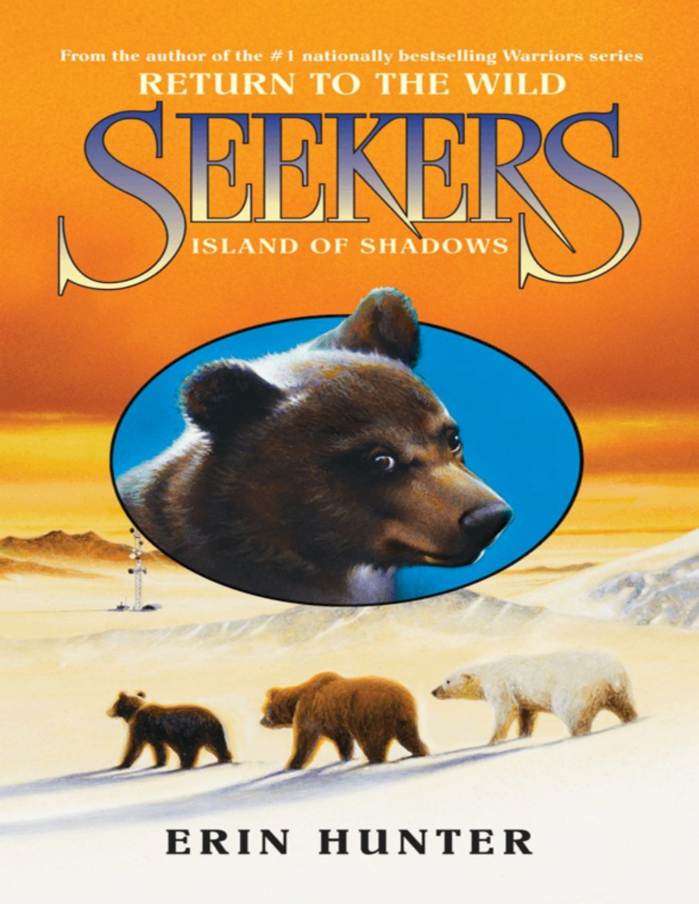 Cover of Island of Shadows