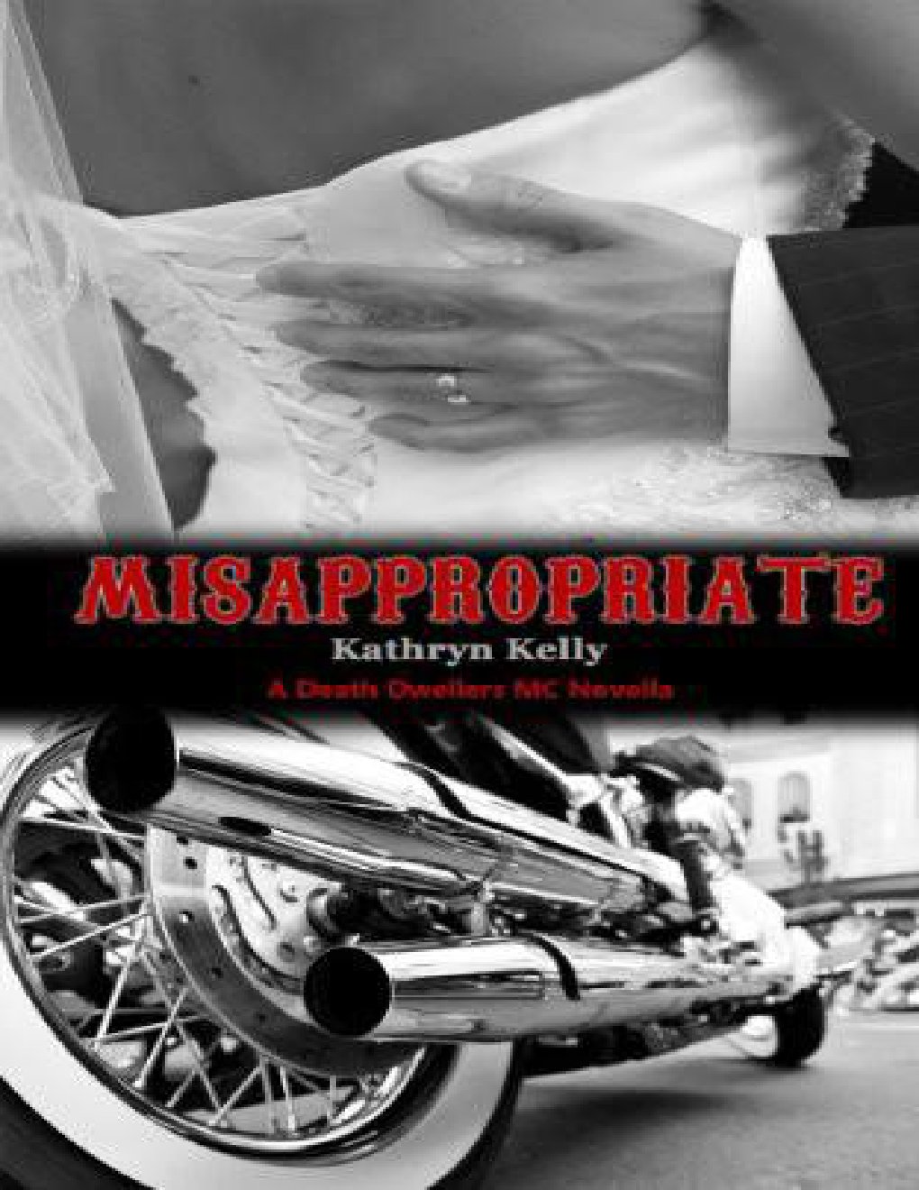 Cover of Misappropriate