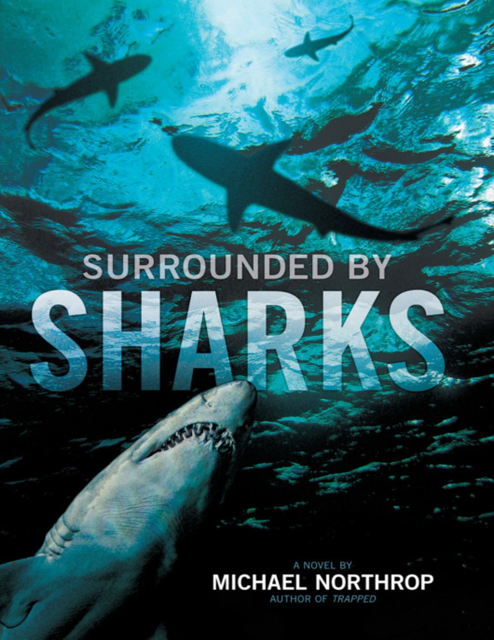 Cover of Surrounded by Sharks