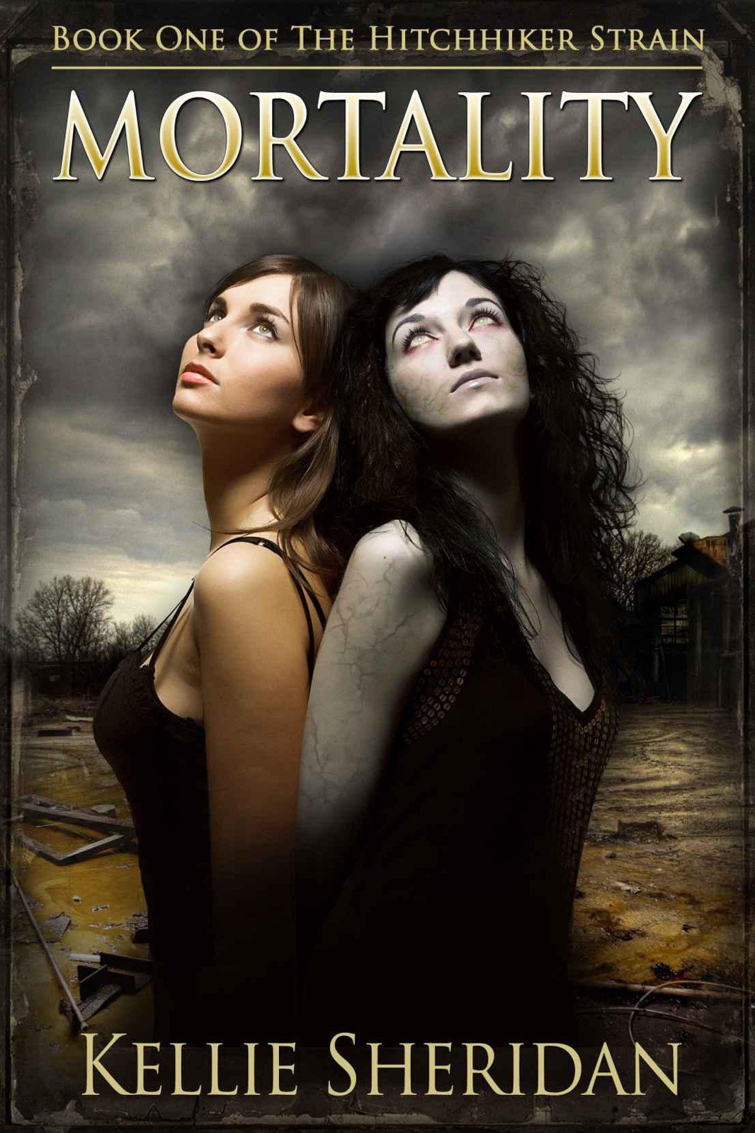 Cover of Mortality