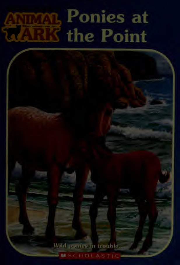 Cover of Ponies at the point
