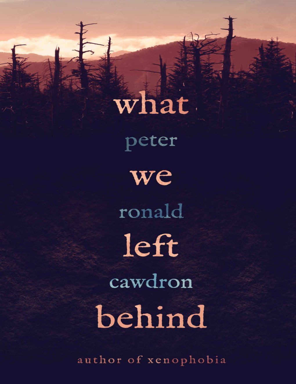 Cover of What We Left Behind