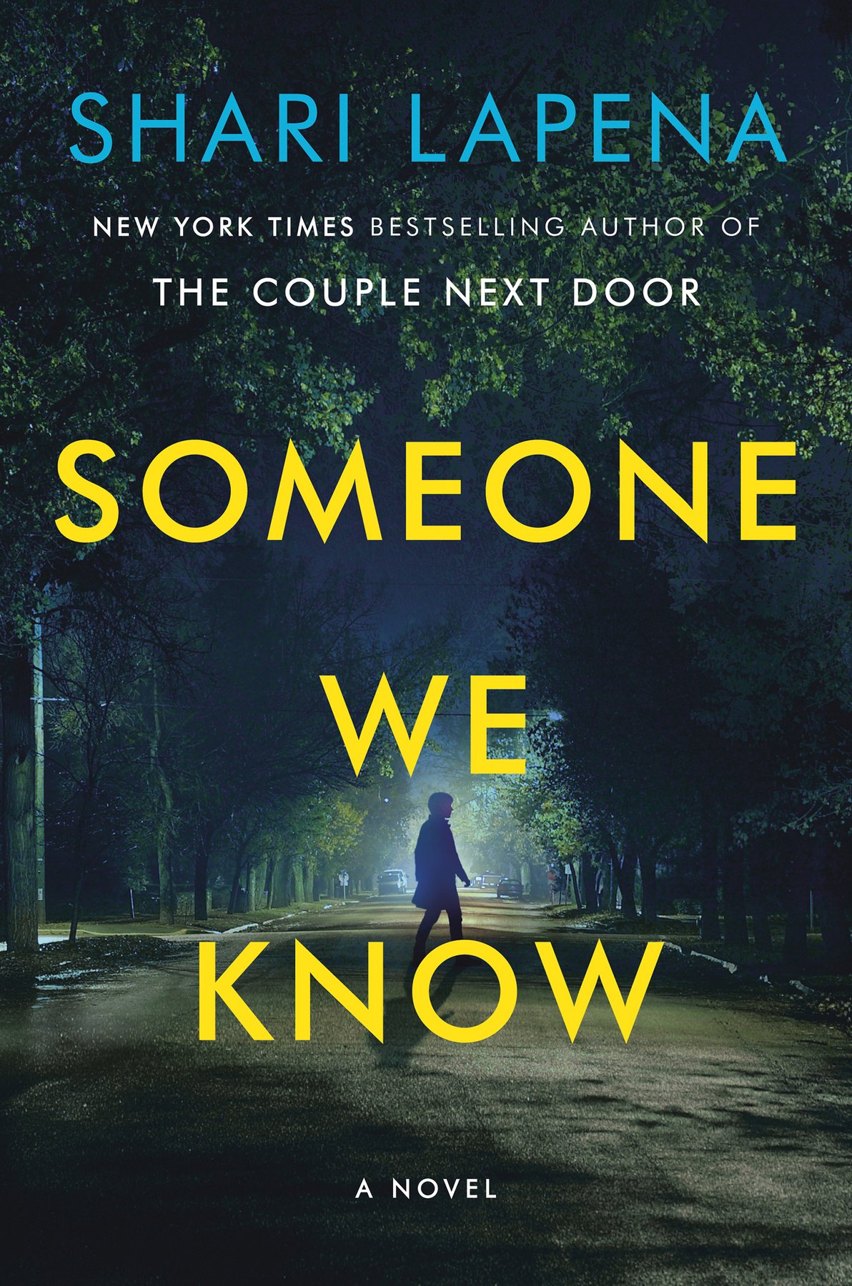 Cover of Someone We Know