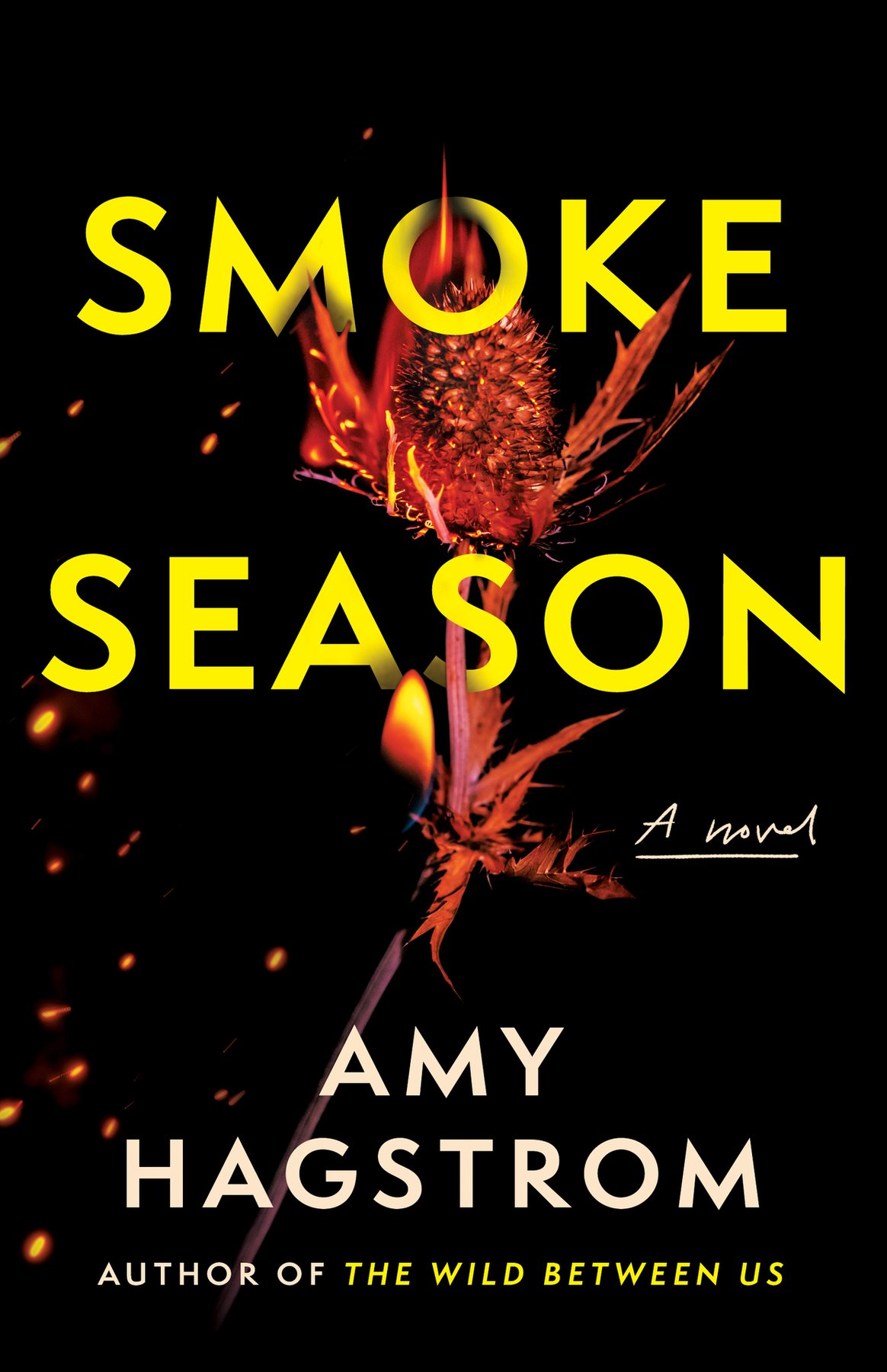 Cover of Smoke Season: A Novel