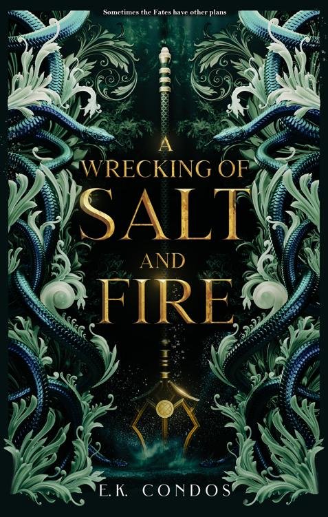 Cover of A Wrecking of Salt and Fire (2023)