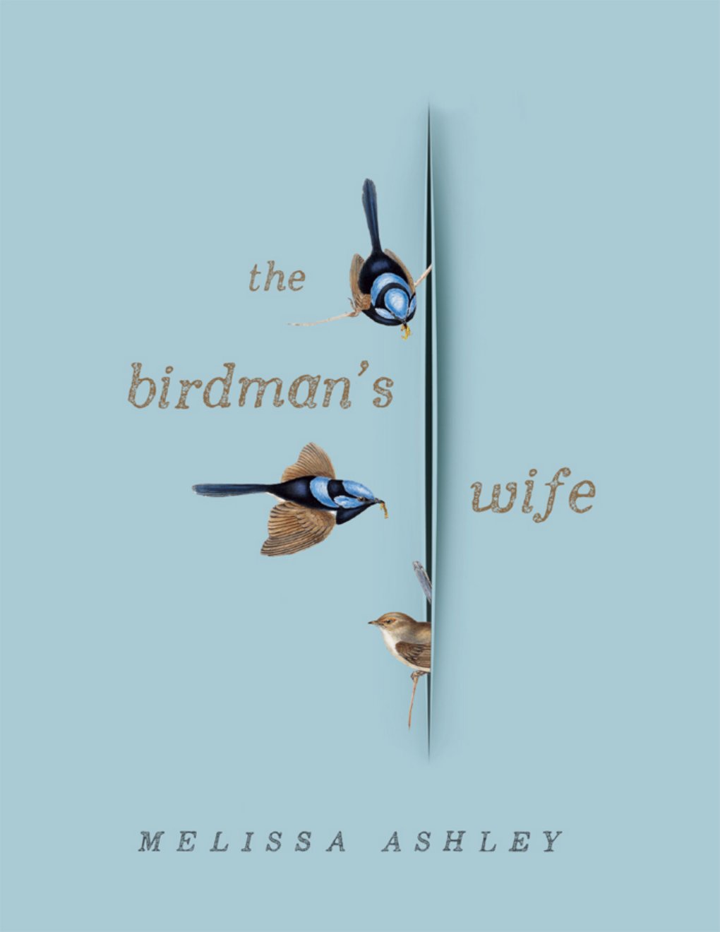 Cover of Birdman's Wife